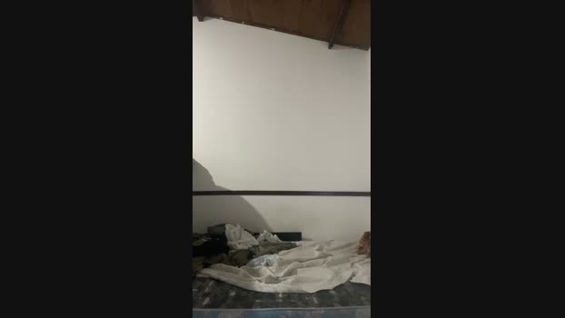 Boydatatto 01-08-2024 Recorded Video Video