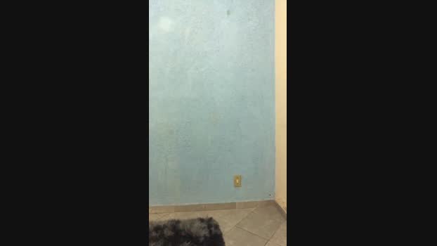Cafa0 02-08-2024 Recorded Video amateur