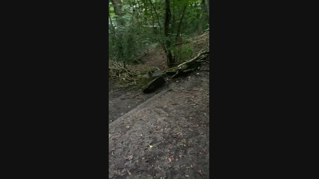 Outandabout 01-08-2024 Recorded Video Download