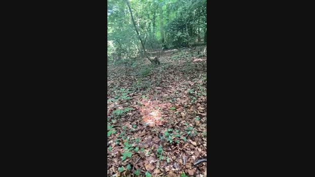 Outandabout 02-08-2024 Recorded Video natural