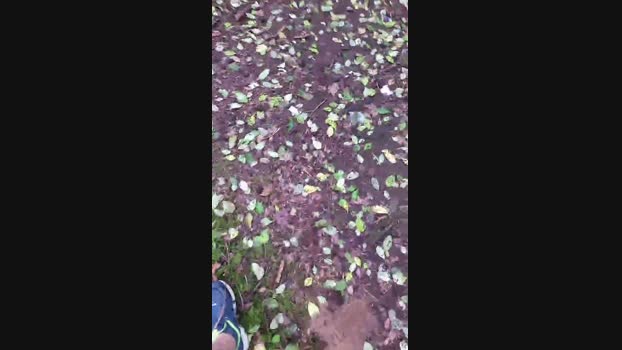 Outdoorgeil1 01-08-2024 Recorded Video love
