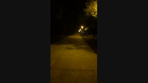 Foxfoxfox 02-08-2024 Recorded Video deep