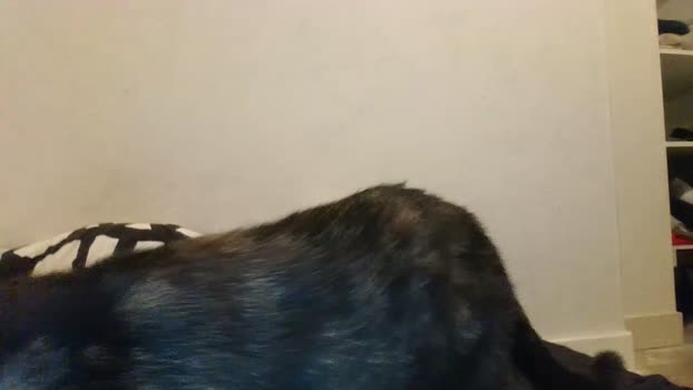 Geilesexyboy