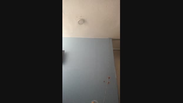 Migueladastl05 03-08-2024 Recorded Video suck