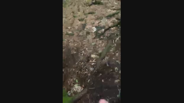 Outandabout 02-08-2024 Recorded Video sexymale