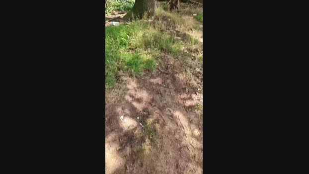 Outdoorgeil1 03-08-2024 Recorded Video analsex