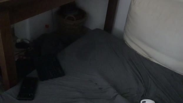 couplehorny1901 02-08-2024 Recorded Video yummy
