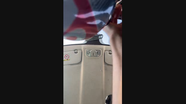 Pollon29_cm 04-08-2024 Recorded Video analtoy