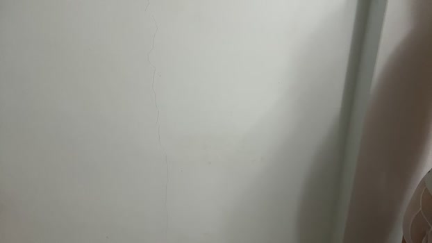 liutommy01 03-08-2024 Recorded Video play