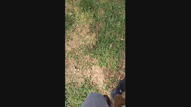 iamjp084 05-08-2024 Recorded Video dirty