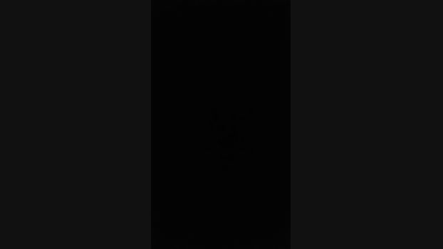man546 05-08-2024 Recorded Video ass