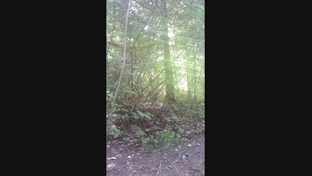 smile3000 05-08-2024 Recorded Video fuckhard