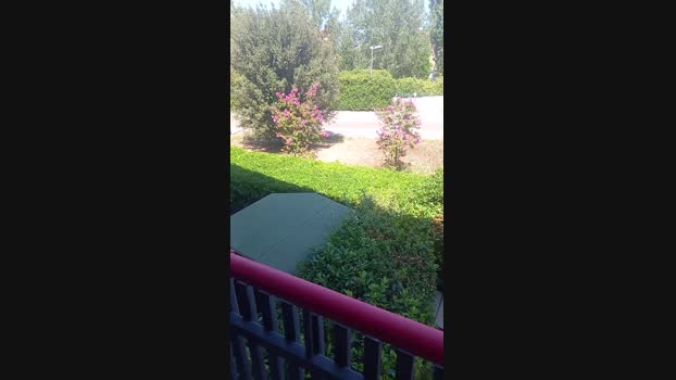 Magagna91 06-08-2024 Recorded Video sweet