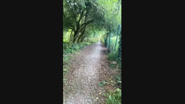 Outandabout 05-08-2024 Recorded Video sexyfeet