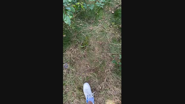 bjornborg 06-08-2024 Recorded Video bigtoys