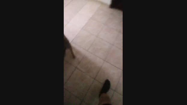 emiskabana4 06-08-2024 Recorded Video amateur