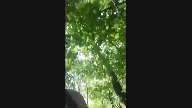 hplandirect 06-08-2024 Recorded Video wank