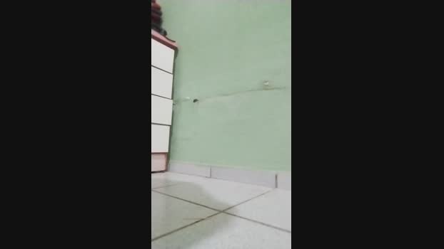lucas5344 06-08-2024 Recorded Video blowjob