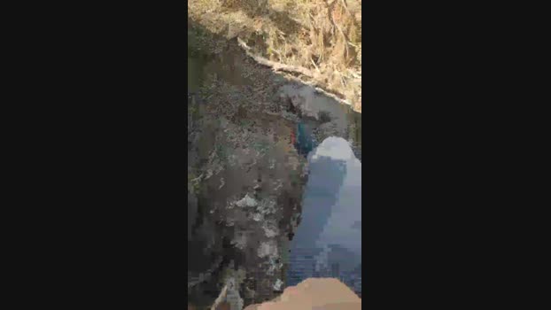 polli_play 06-08-2024 Recorded Video moan