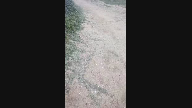 CocckDesttroyer 06-08-2024 Recorded Video big