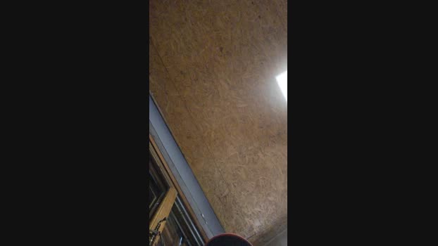 GusKanine 07-08-2024 Recorded Video kinky
