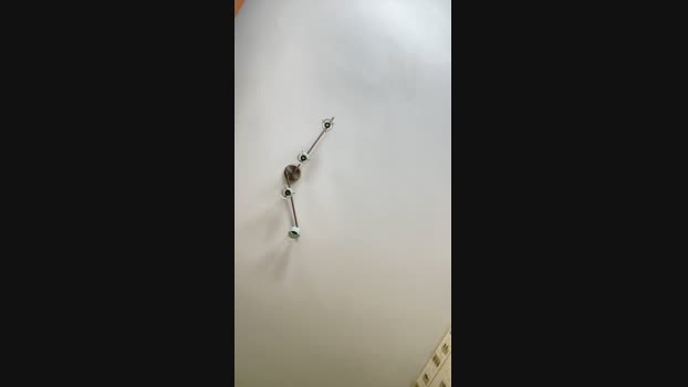 LeJanonyme 07-08-2024 Recorded Video Pretty