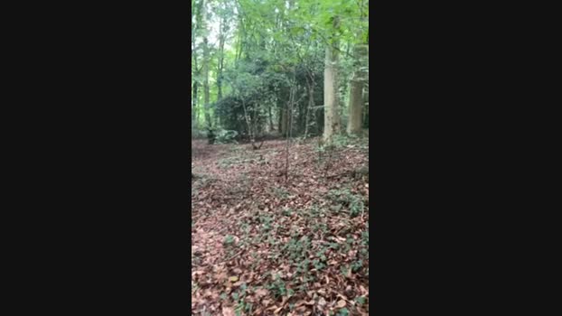 Outandabout 07-08-2024 Recorded Video jerking