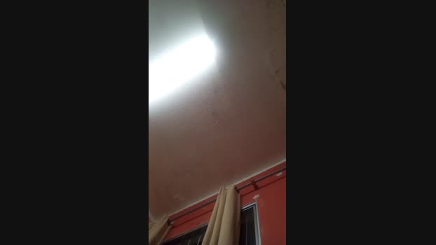 brazilnovo 07-08-2024 Recorded Video bigdick