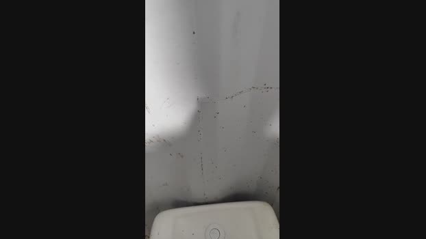 cucunacara013 06-08-2024 Recorded Video jerkoff