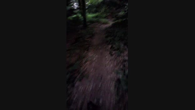 taxidancer1 06-08-2024 Recorded Video sexykitty