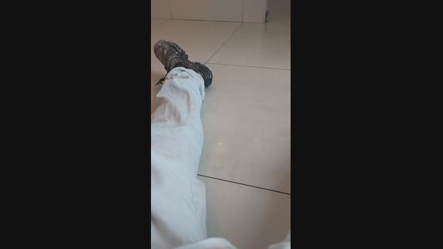 Morenogrossopau 08-08-2024 Recorded Video fuckme