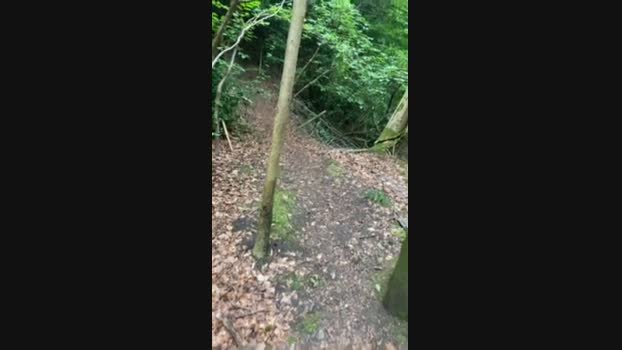 Outandabout 07-08-2024 Recorded Video bigtoys