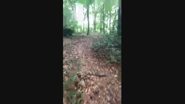 Outandabout 08-08-2024 Recorded Video fuckface