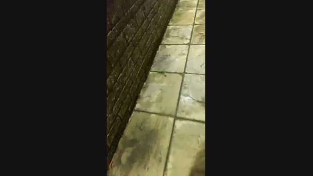 Outandabout 08-08-2024 Recorded Video bigcock