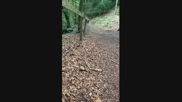 Outandabout 08-08-2024 Recorded Video Topless