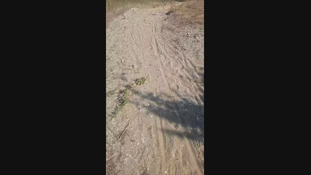 S3xyjohns 08-08-2024 Recorded Video kinky