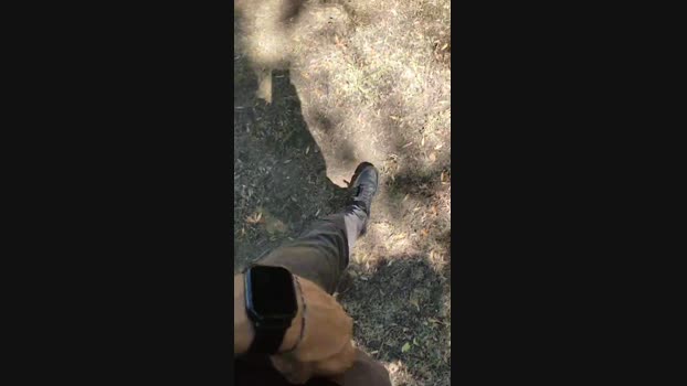 Scarearies 08-08-2024 Recorded Video bigload