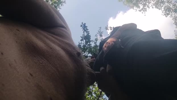 slaven19 08-08-2024 Recorded Video fingers