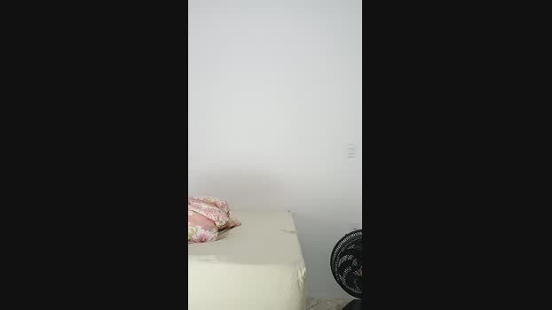 Alvarus 08-08-2024 Recorded Video play