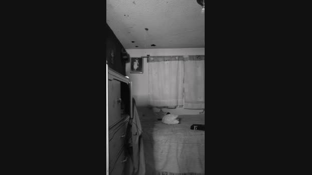 Jabo24 09-08-2024 Recorded Video jerking