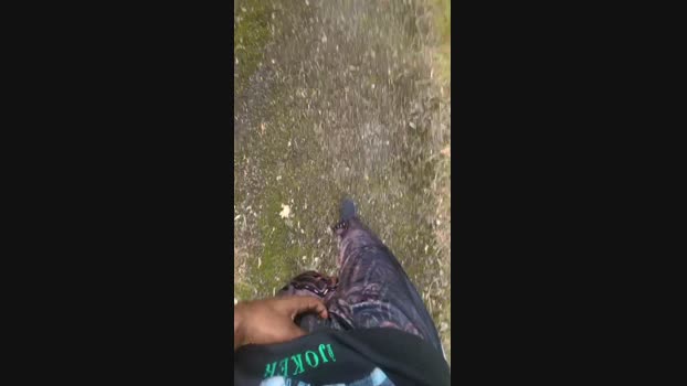 Spiritualgod 09-08-2024 Recorded Video hardcock