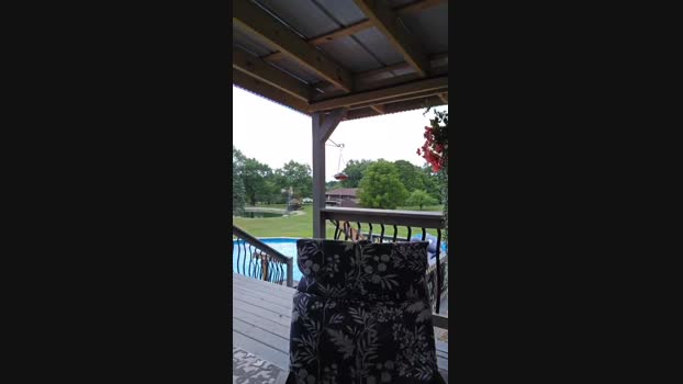 cuttdog2 09-08-2024 Recorded Video prettyface