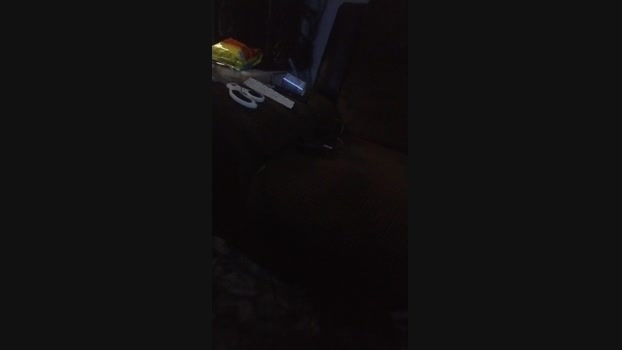 physicssexpert 08-08-2024 Recorded Video fuckher
