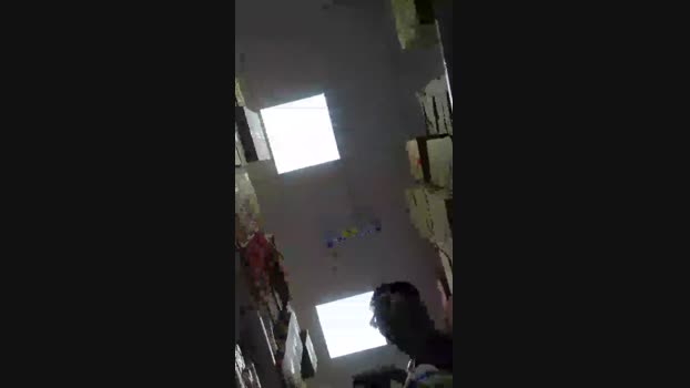 Bear_Baby 09-08-2024 Recorded Video strip