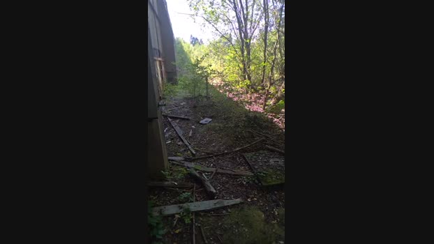 publicexib1 12-08-2024 Recorded Video beautiful