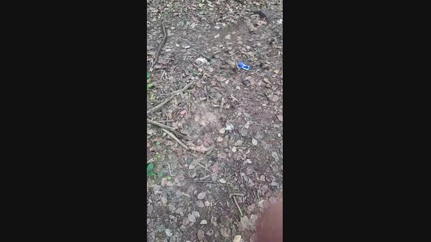 Outdoorgeil1 12-08-2024 Recorded Video striptease
