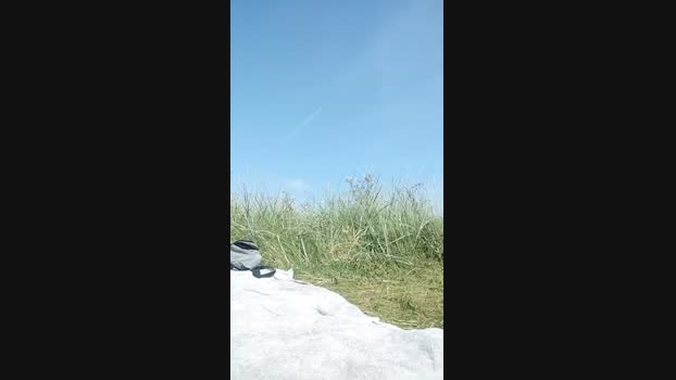 pegg_cunilingus 13-08-2024 Recorded Video toys