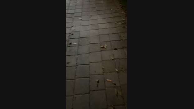 Foxfoxfox 14-08-2024 Recorded Video prettyface