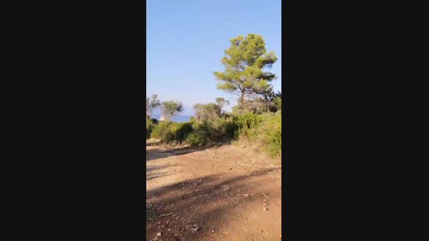 JoMenz 14-08-2024 Recorded Video ass