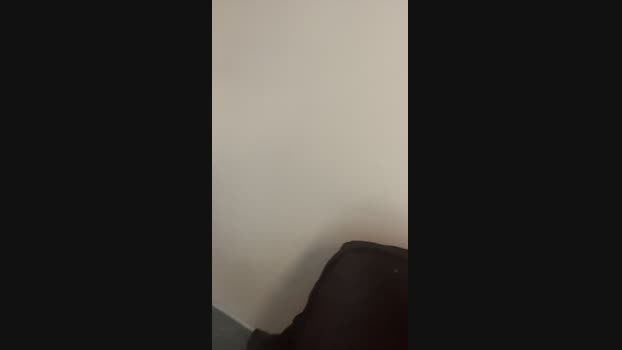 Pollon29_cm 14-08-2024 Recorded Video strip